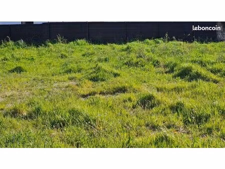 terrain 595 m² baye