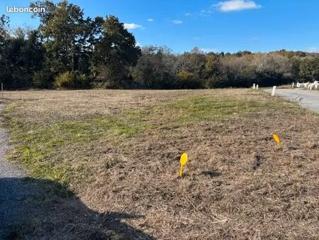 terrain 524 m² ergue gaberic