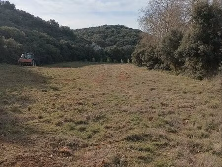 terrain agricole amandiers