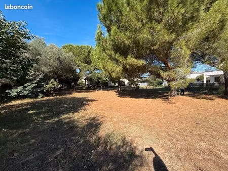 terrain à bâtir viabilisé libre constructeur