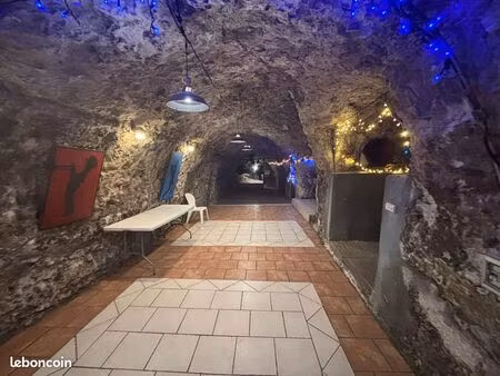 location cave festive villandry