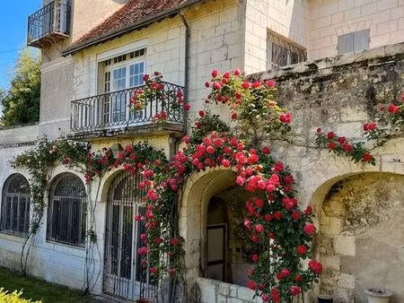 propriété de 4026m² comprenant maison d'environ 100m²  hypercentre ville  cité royale de l