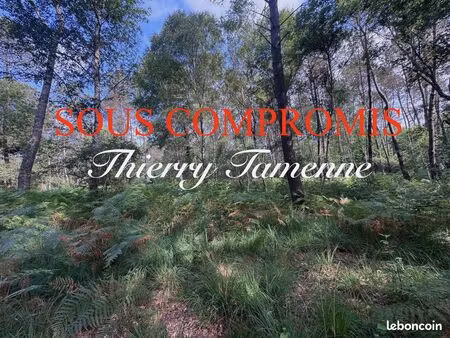 vente | forêt | 141093 m² | escalans