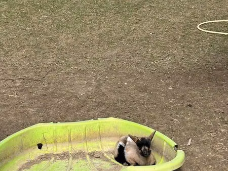 recherche terrain à acheter ou à louer