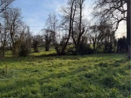 terrain viabilise lavernose lacasse hors lotissement