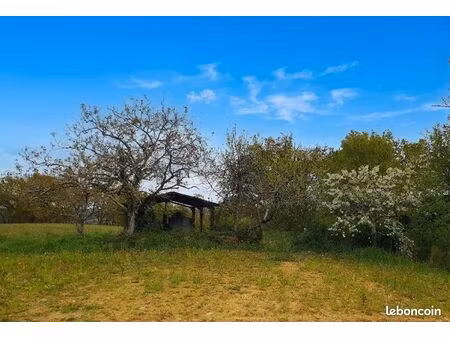 terrain 3 000 m² castaignos souslens