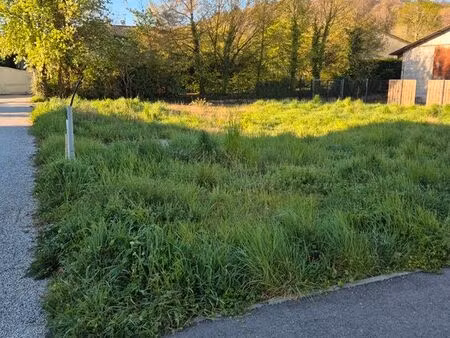 terrain constructible