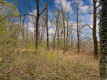 vente terrain à batir 2127 m² à sarliac-sur-l'isle (24420)  27 120 €