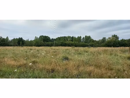 vente terrain 2276 m² à ménesplet (24700)  30 000 €