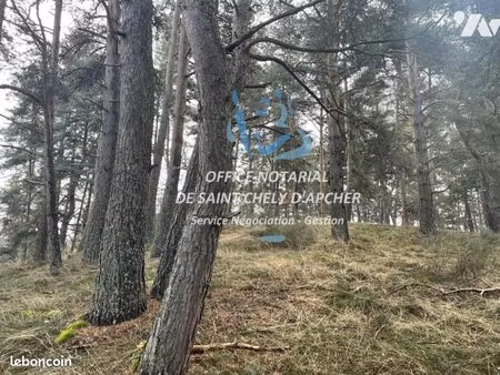 terrain 10343 m² rimeize