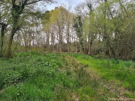 vente terrain 12358 m² à bégaar (40400)  15 000 €