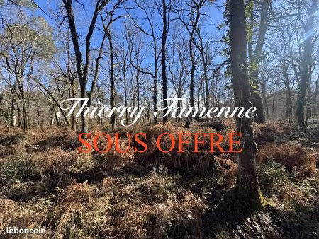 vente | forêt | 96131 m² | poussignac
