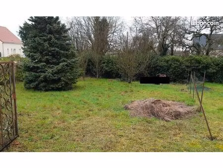 terrain constructible