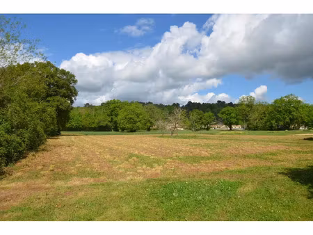 vente terrain 4522 m² à montpon-ménestérol (24700)  35 000 €
