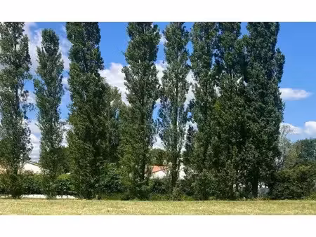 vente terrain 645 m² à beaulieu-sous-la-roche (85190)  40 000 €