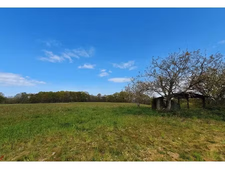 vente terrain à batir 9090 m² à castaignos-souslens (40700)  40 000 €