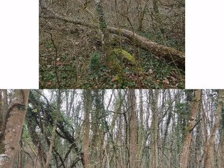 lot de 8 terrains secteur pont-à-mousson