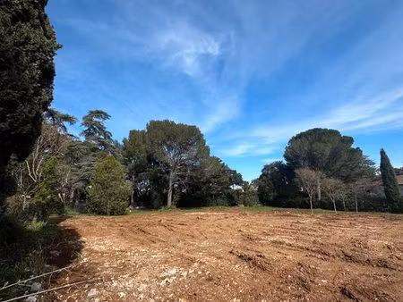 terrain à bâtir d'exception - castelnau-le-lez