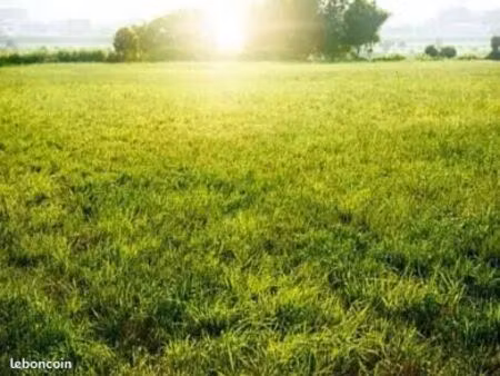 terrain 547 m² gennes