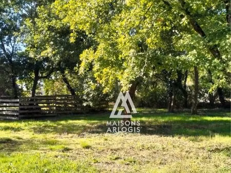 terrain 372 m² maze