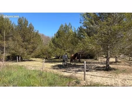 location terrain pour chevaux ?