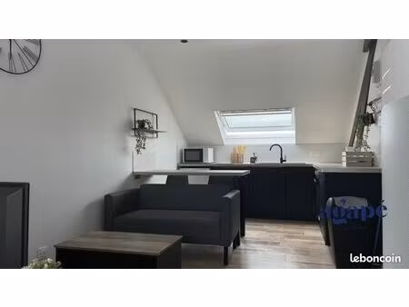 studio 1 pièce 25 m²