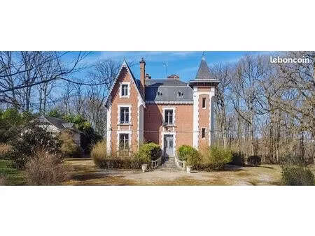vente | château | 8p | 197 m² | ouzouer-sur-trézée | piscine