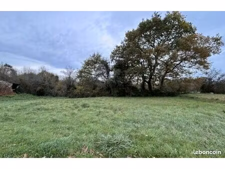 terrain 317 m² chaumes en retz