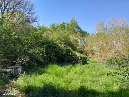 propose terrain pour ruches d'abeilles