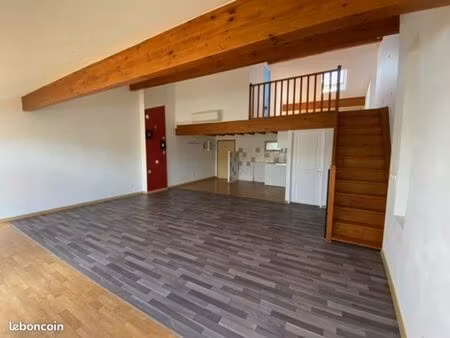 appartement duplex 2 pièces centre-ville 58m²