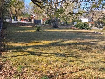 terrain constructible