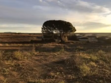 vente terrain 200 m² à autignac (34480)  59 000 €