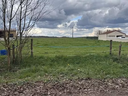 vente terrain 2597 m² à cloué (86600)  54 000 €