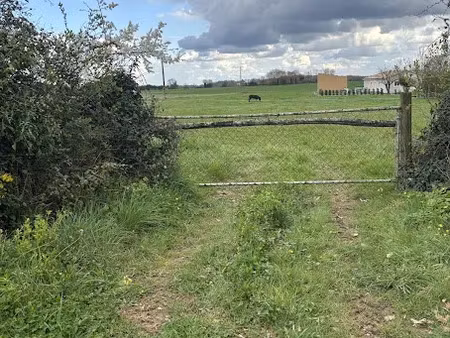 vente terrain 5627 m² à cloué (86600)  54 000 €