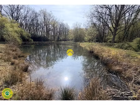 vente terrain 34900 m² à mareuil-sur-arnon (18290)  66 000 €