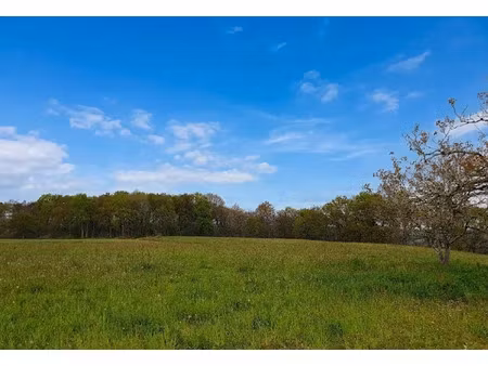 vente terrain à batir 25463 m² à castaignos-souslens (40700)  60 000 €