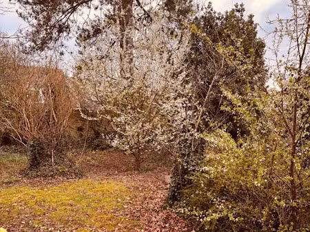 vente terrain 475 m² à jonchery-sur-vesle (51140)  69 000 €