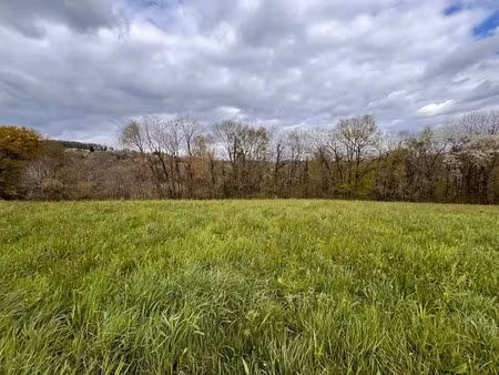 vente terrain 2099 m² à sainte-féréole (19270)  64 960 €