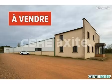 local d'activite 800 m² frontonas