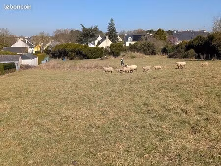 vend terrain constructible