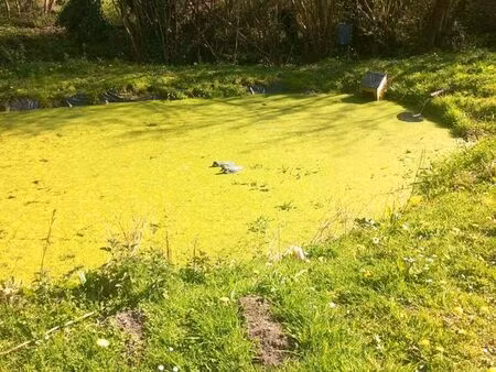 beau terrain de loisir 3600 m2