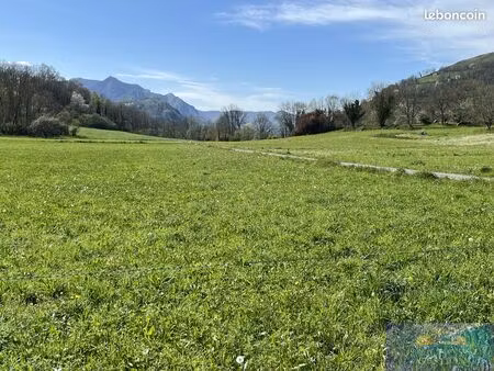 terrain 13270 m² cheust