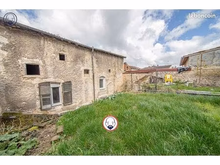 immeuble 246 m² saint-mihiel