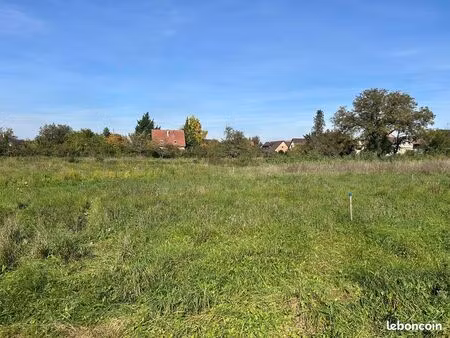 vente | terrain constructible | 543 m² | kunheim