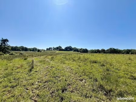 vente | terrain constructible | lahourcade