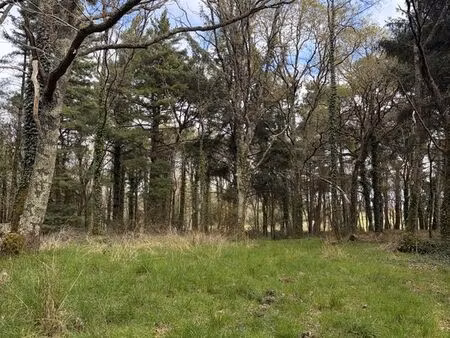 terrain 43500 m² plouhinec