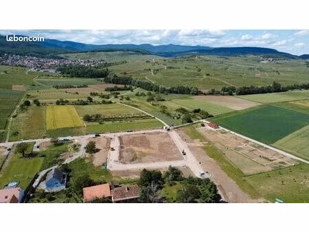 terrain 549 m² bergholtz