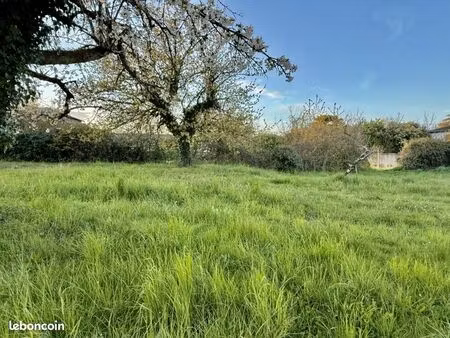 terrain 705 m² creches sur saone