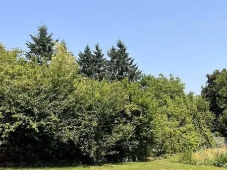 terrain 1 480 m² ige