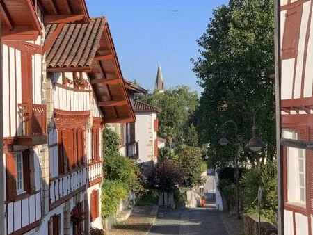 vente | maison traditionnelle | 12p | 9ch | 276 m² | ustaritz | jardin